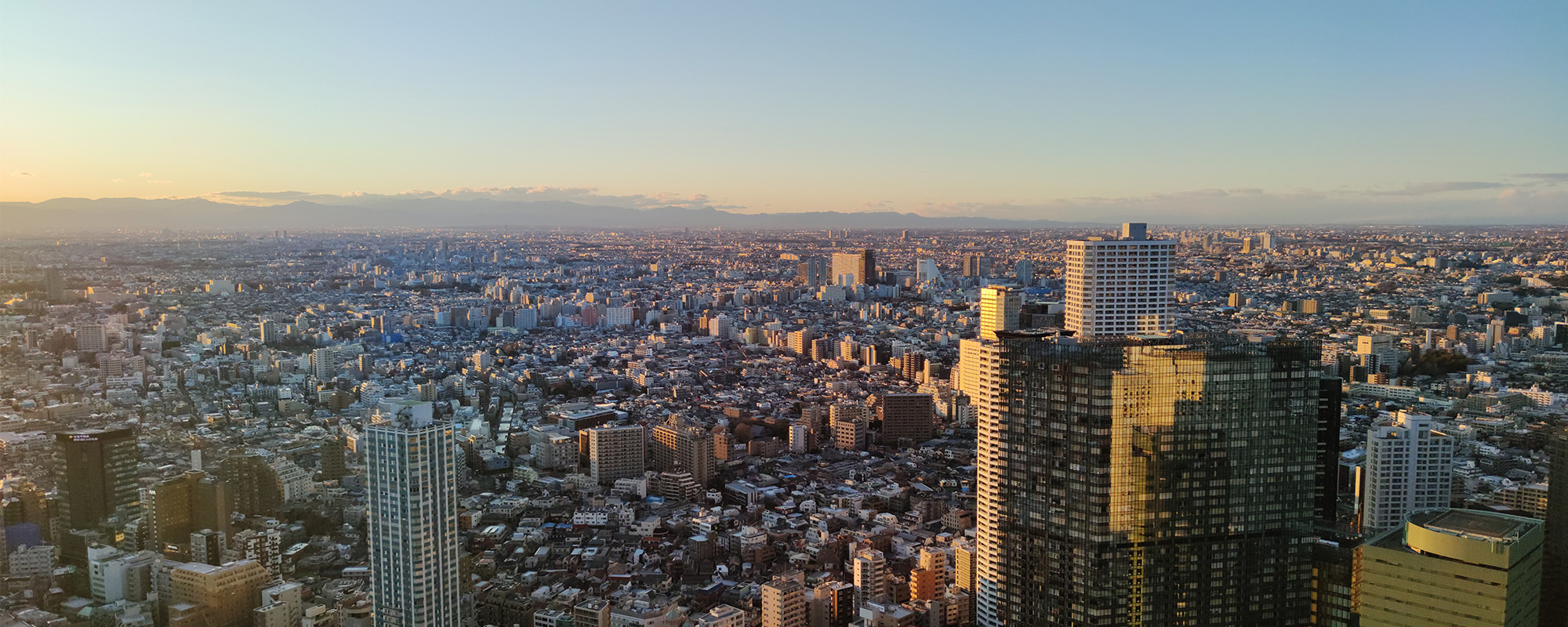 Tokio Skyline