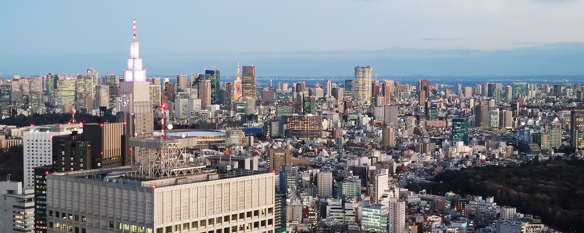 Tokio Skyline