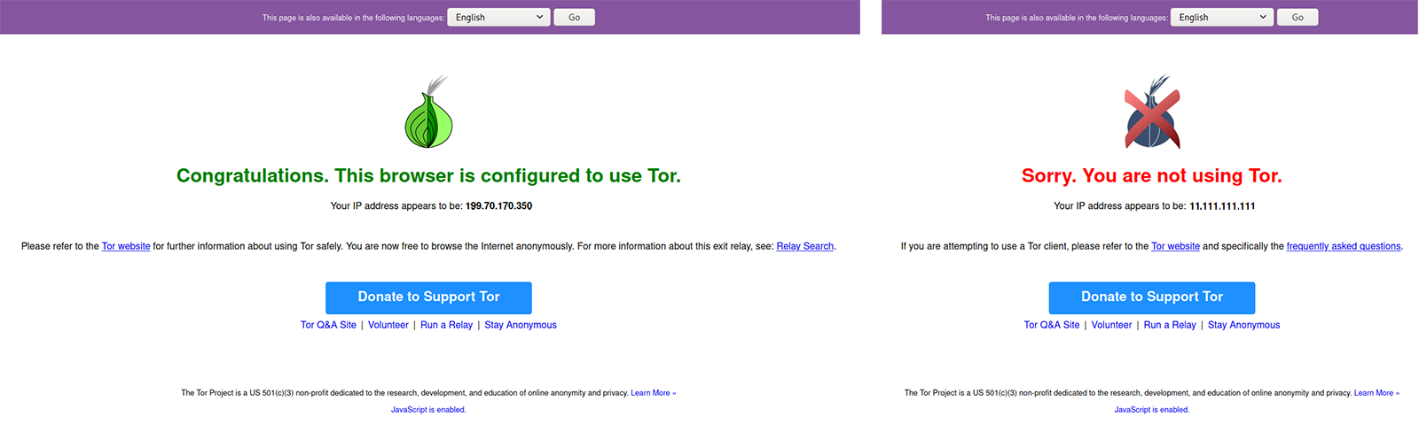 Tor-Netzwerk Check