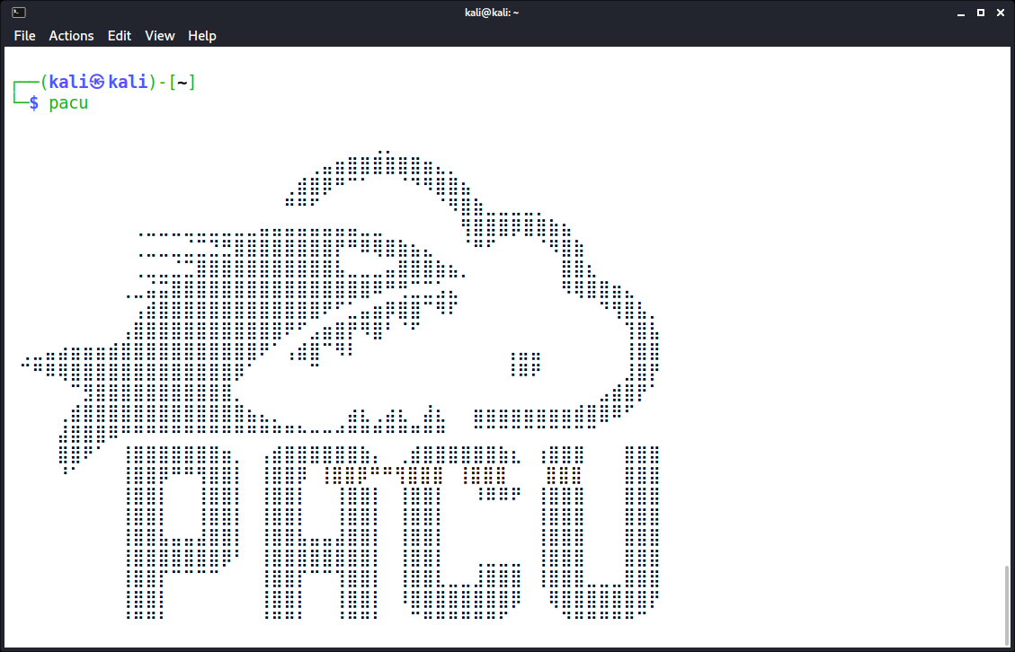 ASCII-Logo von Pacu beim Start