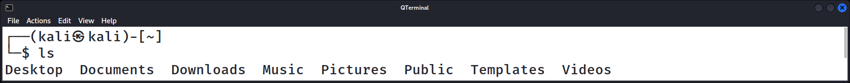 Kali Linux Terminal Output